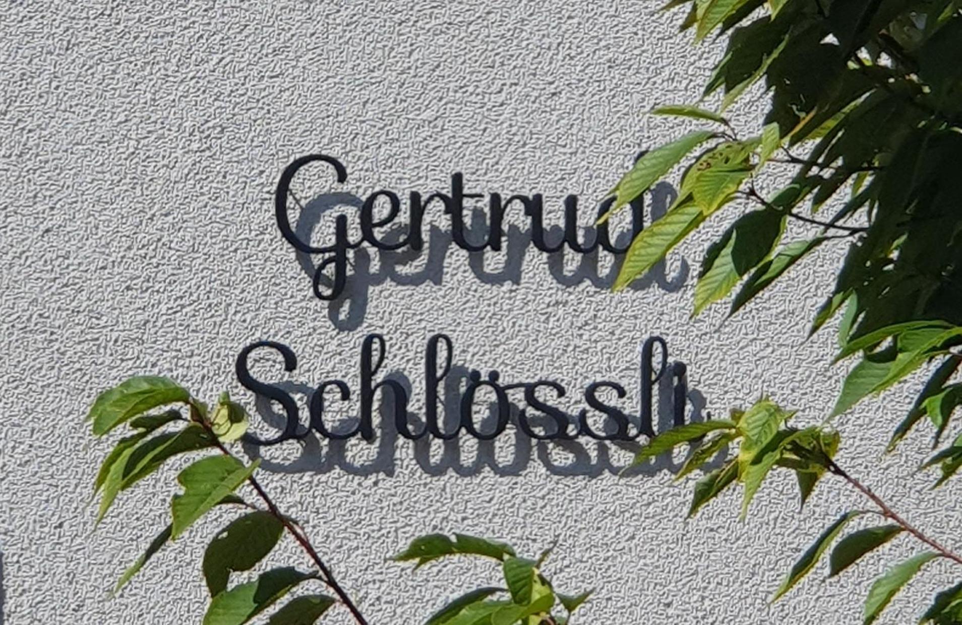 2-4 Zimmer Apartments Stilvoll Im Gertrud Schloessli - Zentral Ruhig St. Gallen Exterior photo